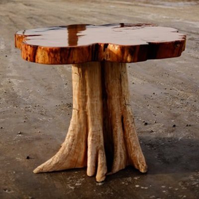 Polished wood table made from a single section of a 400 year old tree. Table base is a tree trunk.