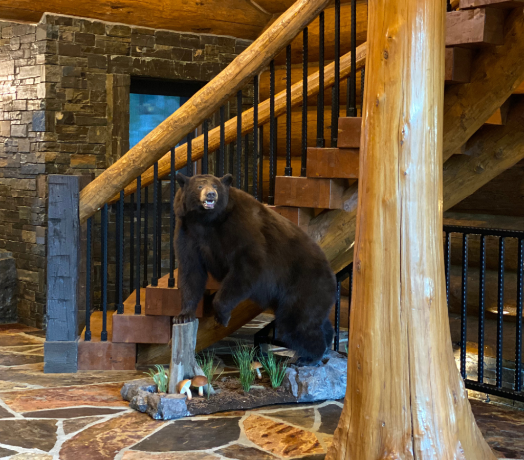 Stuffed brown bear near log staircase